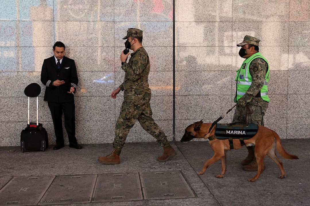 Two soldiers wearing military fatigues walks with a dog on a sidewalk.